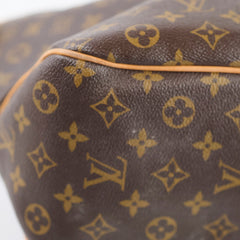 Louis Vuitton Delightful MM Monogram