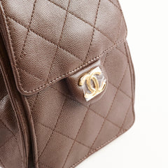 Chanel Small Chanel 25 Bag Brown