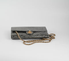 Chanel Zip Away Chain Clutch Wallet on Chain WOC Metallic Grey