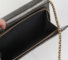 Chanel Zip Away Chain Clutch Wallet on Chain WOC Metallic Grey