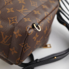 Louis Vuitton Palm Springs Mini Monogram Backpack