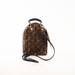 Louis Vuitton Palmspring Backpack Mini Monogram