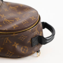 Louis Vuitton Mini Palm Springs