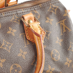 Louis Vuitton Speedy 30 Monogram Bag
