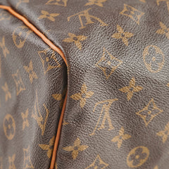 Louis Vuitton Speedy 30 Monogram Bag