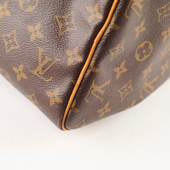 Louis Vuitton Speedy 30 Monogram