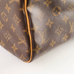 Louis Vuitton Speedy 30 Monogram