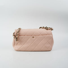 Chanel Quilted Pink Seasonal Bag (Microchipped)