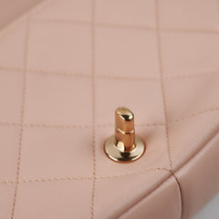 Chanel Quilted Pink Seasonal Bag (Microchipped)
