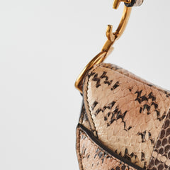 Christina Dior Mini Saddle Snake Skin