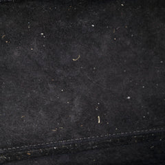 Celine Micro Luggage Black
