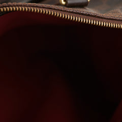 Louis Vuitton Speedy 25 Damier Ebene Bag