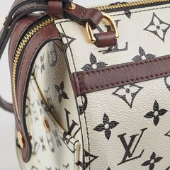 Louis Vuitton Amazon Speedy PM Monogram