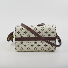 Louis Vuitton Amazon Speedy PM Monogram
