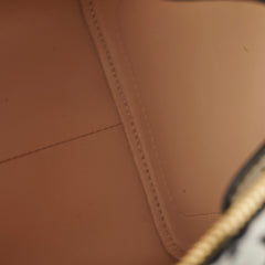 Louis Vuitton Amazon Speedy PM Monogram