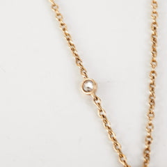 Dior Star Necklace