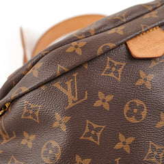 Louis Vuitton Bumbag Monogram