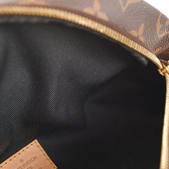 Louis Vuitton Bumbag Monogram