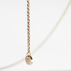 Hermes Ex- Libris Pendant Rose Gold One Diamond Necklace