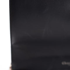 Christian Dior Medium Diorama Mettalic Pink