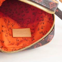 Louis Vuitton Catogram Double Paname Pochette