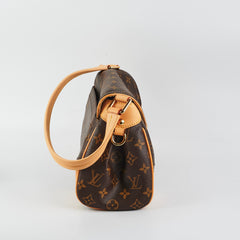 Louis Vuitton Monogram Bag