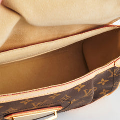 Louis Vuitton Monogram Bag