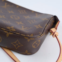 Louis Vuitton Pochette Accessoires Monogram