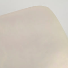 Chanel Small 19 Iridescent Pearl 31 Series