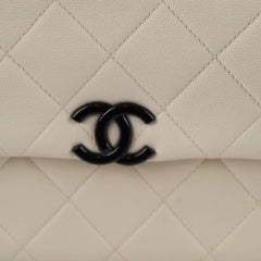 Chanel Caviar Everything Flap White 31 Series