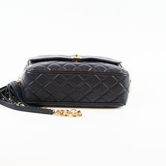 Chanel Camera Bag Diana Black Lambskin 27 Series