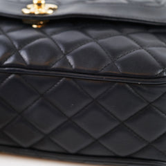 Chanel Camera Bag Diana Black Lambskin 27 Series