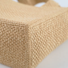 Loewe Raffia Tote Paulas Ibiza