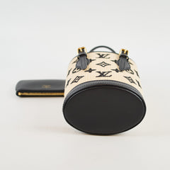 Louis Vuitton By The Pool Nano Bucket Bag Raffia