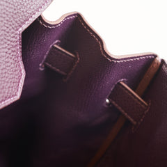 Hermès Hermes Birkin 35 Togo Raisin PHW Square P 2012