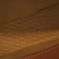 Loewe Luna Bag Tan