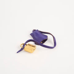 Hermes Birkin 30 Iris Clemence GHW A stamp (2017)