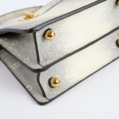 Fendi Peekaboo ISeeU Petite Ombre Lizard