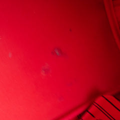 Louis Vuitton Neverfull GM Damier Ebene