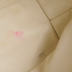 Goyard Mini Anjou White