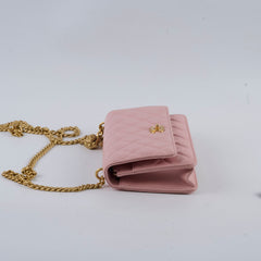 Chanel Lambskin Wallet On Chain WOC Light Pink j