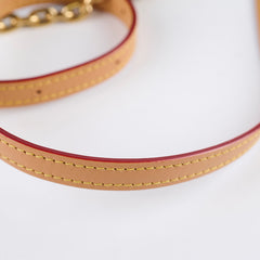 Louis Vuitton Mini Bum Bag Monogram