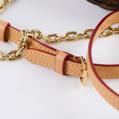 Louis Vuitton Mini Bum Bag Monogram