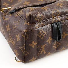 Louis Vuitton Palm Springs Mini Monogram
