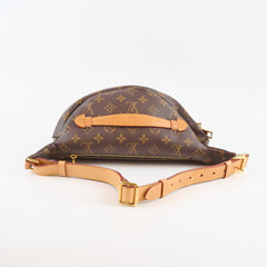 Louis Vuitton Bumbag Monogram
