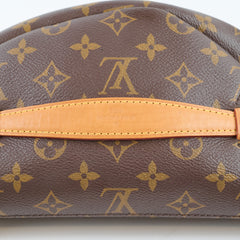 Louis Vuitton Bumbag Monogram
