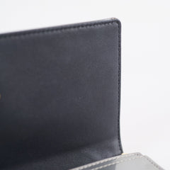Christian Dior ama Wallet On Chain WOC Silver