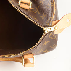 Louis Vuitton Speedy 25 Monogram