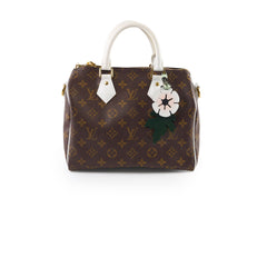 Louis Vuitton Speedy 25 Bandouliere Match Monogram