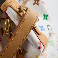 Louis Vuitton Petit Noe Multicolor Bucket Bag